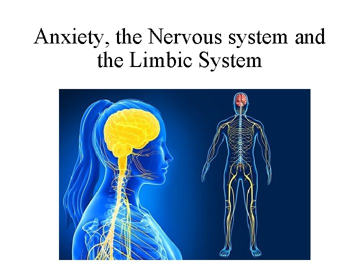 Anxiety, the Nervous system and the Limbic System 