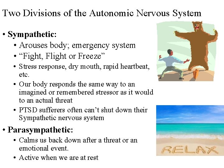 Two Divisions of the Autonomic Nervous System • Sympathetic: • Arouses body; emergency system