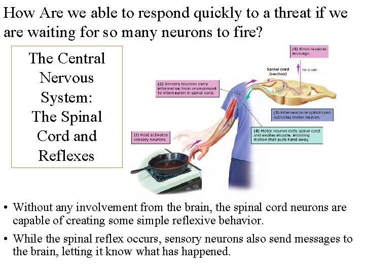 How Are we able to respond quickly to a threat if we are waiting