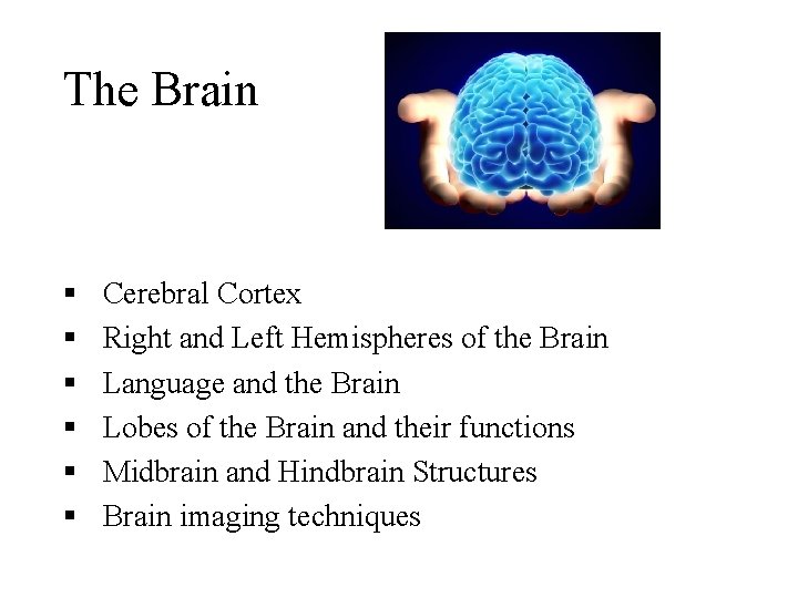 The Brain § § § Cerebral Cortex Right and Left Hemispheres of the Brain