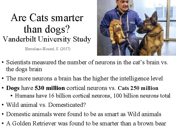 Are Cats smarter than dogs? Vanderbilt University Study Herculano-Houzel, S. (2017) • Scientists measured
