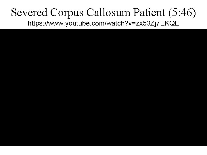 Severed Corpus Callosum Patient (5: 46) https: //www. youtube. com/watch? v=zx 53 Zj 7