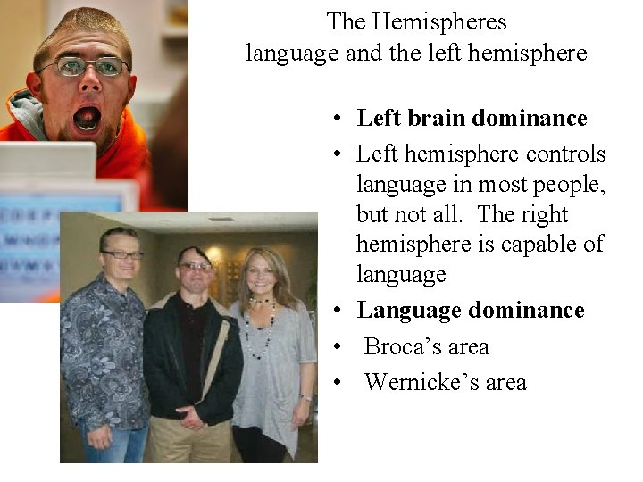 The Hemispheres language and the left hemisphere • Left brain dominance • Left hemisphere