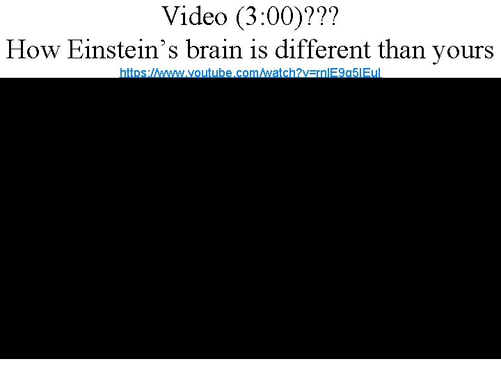 Video (3: 00)? ? ? How Einstein’s brain is different than yours https: //www.