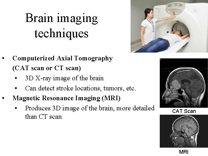 Brain imaging techniques • • Computerized Axial Tomography (CAT scan or CT scan) •