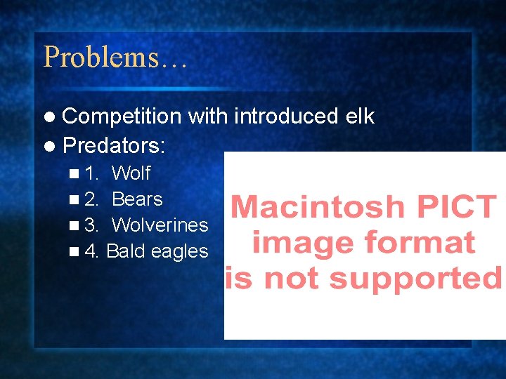 Problems… l Competition with introduced elk l Predators: n 1. Wolf n 2. Bears