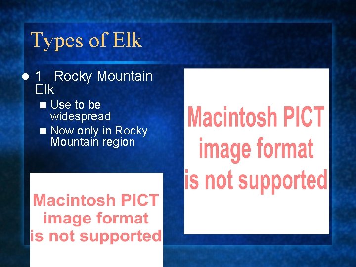 Types of Elk l 1. Rocky Mountain Elk Use to be widespread n Now