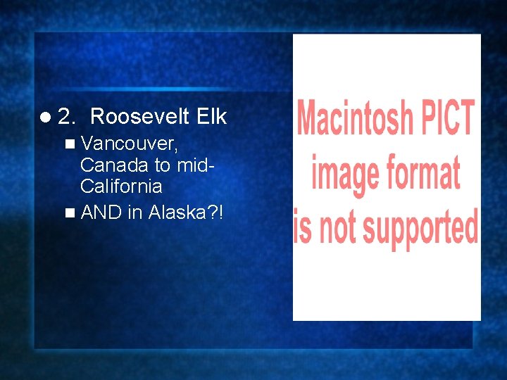 l 2. Roosevelt Elk n Vancouver, Canada to mid. California n AND in Alaska?