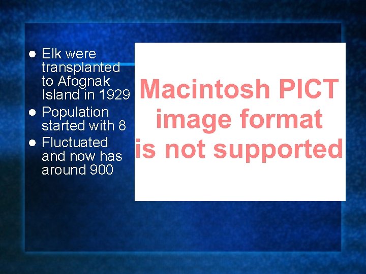 Elk were transplanted to Afognak Island in 1929 l Population started with 8 l