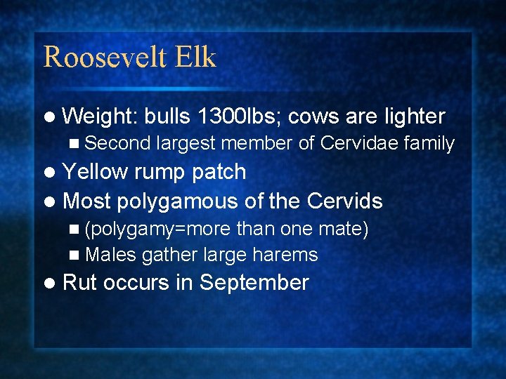 Roosevelt Elk l Weight: bulls 1300 lbs; cows are lighter n Second largest member