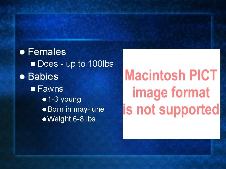 l Females n Does - up to 100 lbs l Babies n Fawns l