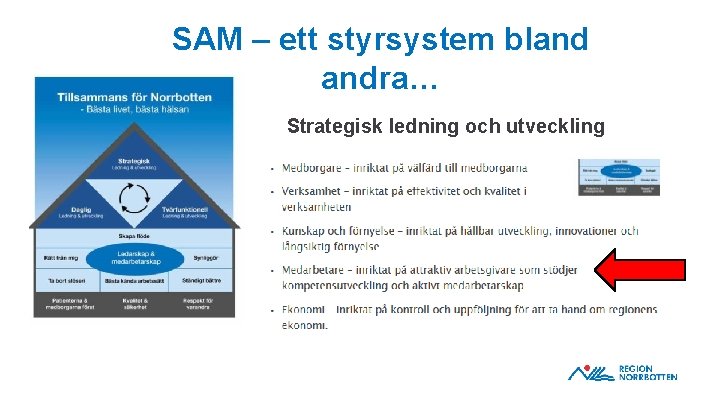 SAM – ett styrsystem bland andra… Strategisk ledning och utveckling 