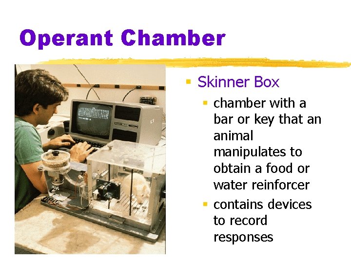 Operant Chamber § Skinner Box § chamber with a bar or key that an