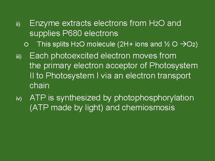 Enzyme extracts electrons from H 2 O and supplies P 680 electrons ii) iii)