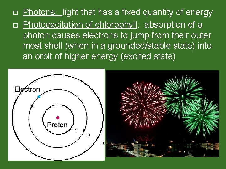  Photons: light that has a fixed quantity of energy Photoexcitation of chlorophyll: absorption