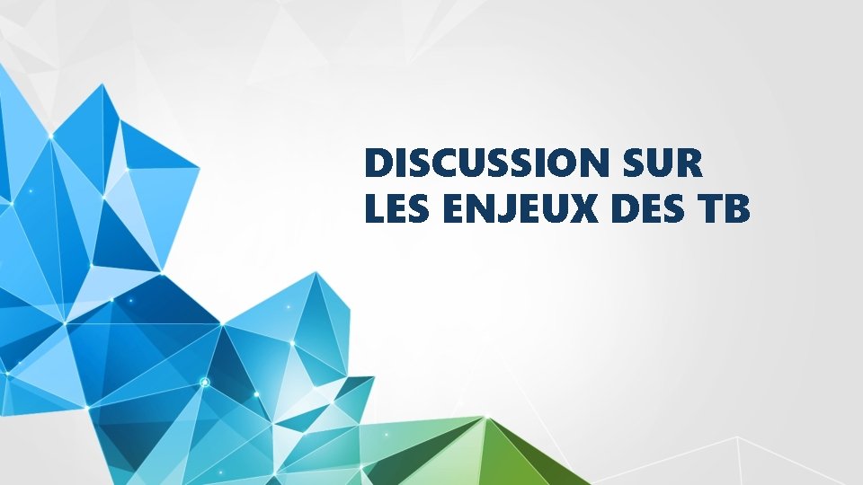 DISCUSSION SUR LES ENJEUX DES TB 