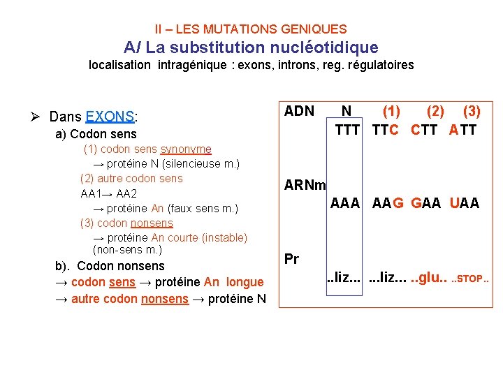 II – LES MUTATIONS GENIQUES A/ La substitution nucléotidique localisation intragénique : exons, introns,