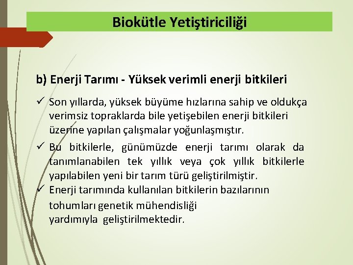 Biokütle Yetiştiriciliği b) Enerji Tarımı - Yüksek verimli enerji bitkileri Son yıllarda, yüksek büyüme