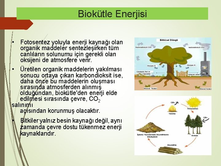 Biokütle Enerjisi • Fotosentez yoluyla enerji kaynağı olan organik maddeler sentezleşirken tüm canlıların solunumu
