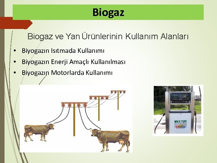 Biogaz ve Yan Ürünlerinin Kullanım Alanları • Biyogazın Isıtmada Kullanımı • Biyogazın Enerji Amaçlı