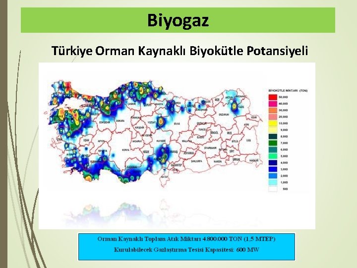 Biyogaz Türkiye Orman Kaynaklı Biyokütle Potansiyeli 