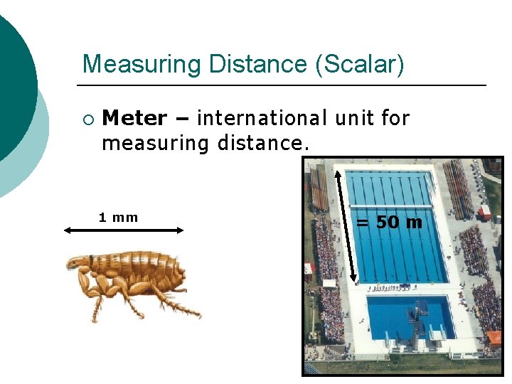 Measuring Distance (Scalar) ¡ Meter – international unit for measuring distance. 1 mm =