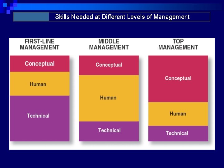 Skills Needed at Different Levels of Management 