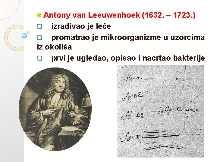 Antony van Leeuwenhoek (1632. – 1723. ) q izrađivao je leće q promatrao je