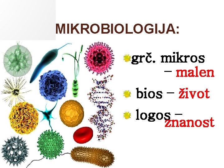 MIKROBIOLOGIJA: grč. mikros – malen bios – život logos – znanost 