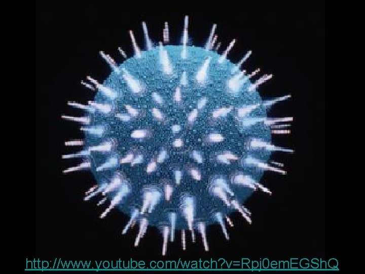 http: //www. youtube. com/watch? v=Rpj 0 em. EGSh. Q 