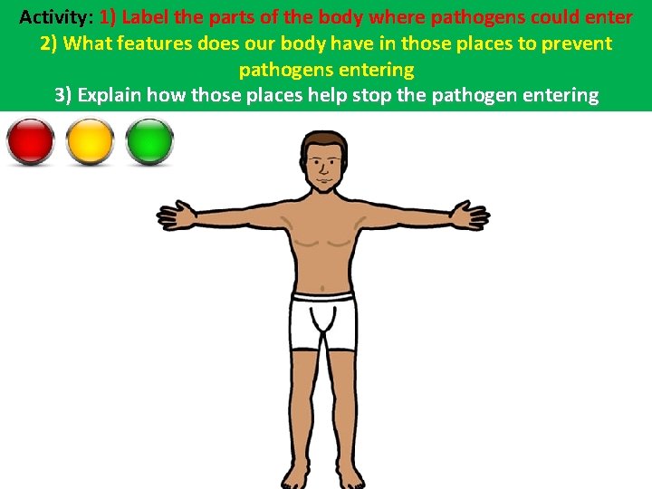 Activity: 1) Label the parts of the body where pathogens could enter 2) What