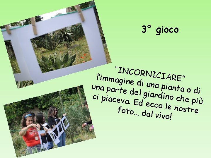 3° gioco “INCOR NICIAR l’immagin E ” e di una pianta o una part