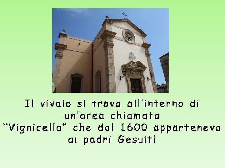 Il vivaio si trova all’interno di un’area chiamata “Vignicella” che dal 1600 apparteneva ai