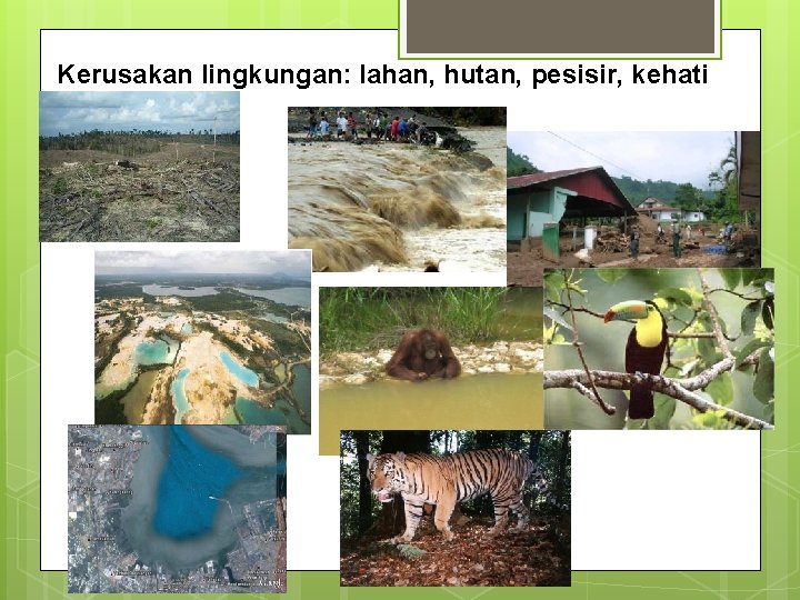 Kerusakan lingkungan: lahan, hutan, pesisir, kehati 