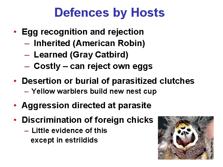 Defences by Hosts • Egg recognition and rejection – Inherited (American Robin) – Learned