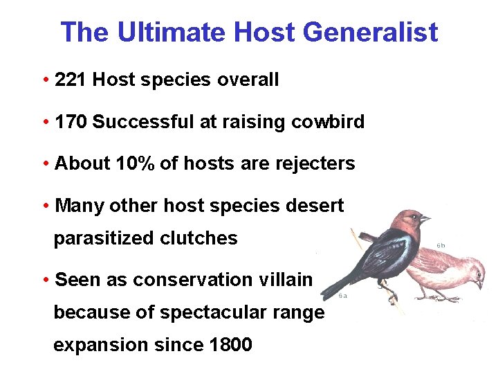The Ultimate Host Generalist • 221 Host species overall • 170 Successful at raising
