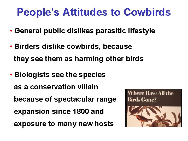People’s Attitudes to Cowbirds • General public dislikes parasitic lifestyle • Birders dislike cowbirds,