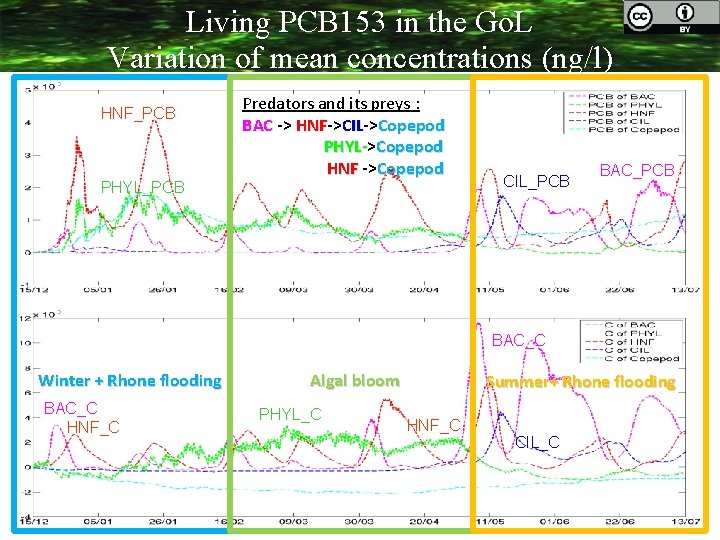 Living PCB 153 in the Go. L Variation of mean concentrations (ng/l) HNF_PCB PHYL_PCB