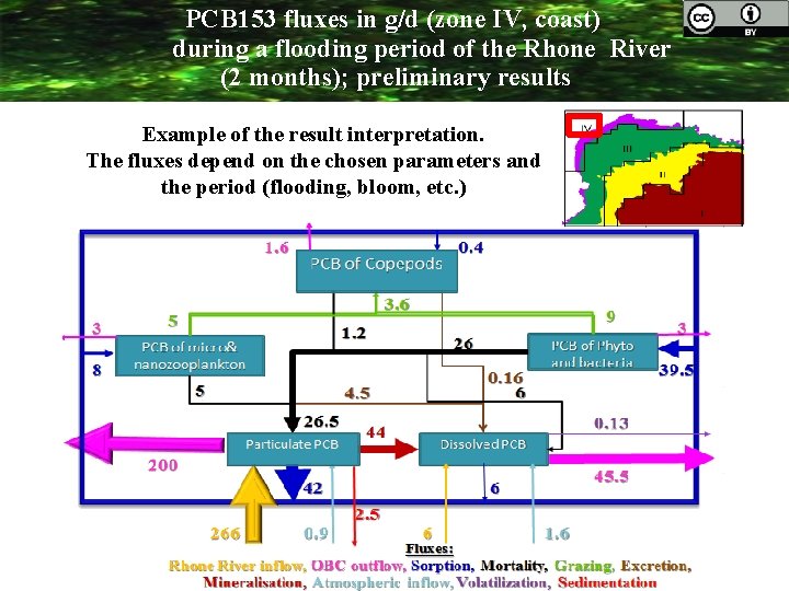 PCB 153 fluxes in g/d (zone IV, coast) during a flooding period of the