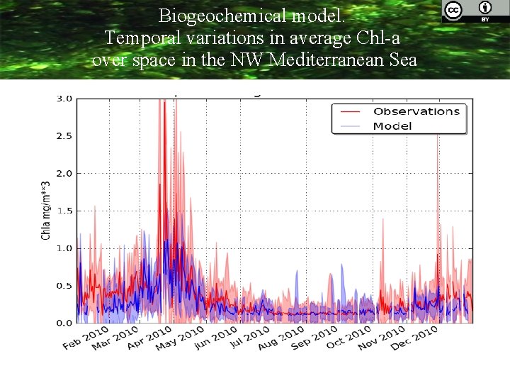 Biogeochemical model. Temporal variations in average Chl-a over space in the NW Mediterranean Sea