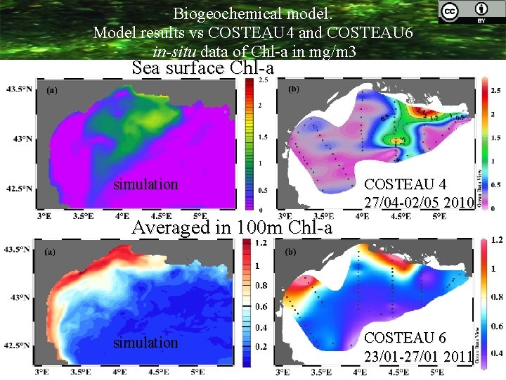 Biogeochemical model. Model results vs COSTEAU 4 and COSTEAU 6 in-situ data of Chl-a