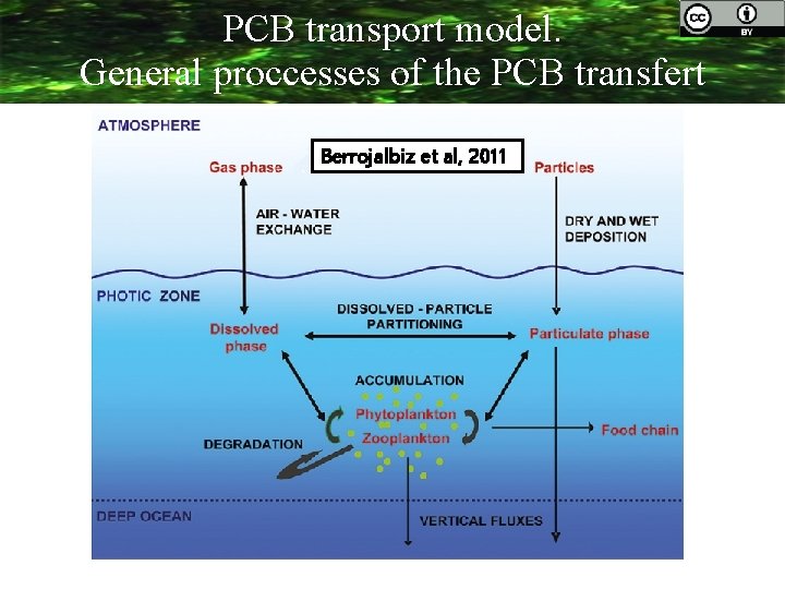 PCB transport model. General proccesses of the PCB transfert Berrojalbiz et al, 2011 