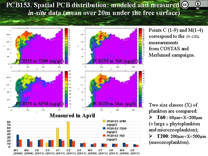 PCB 153. Spatial PCB distribution: modeled and measured in-situ data (mean over 20 m