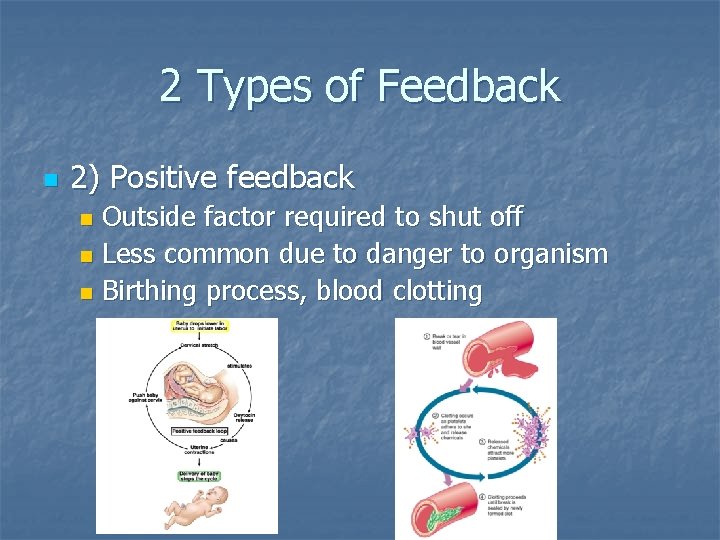 2 Types of Feedback n 2) Positive feedback Outside factor required to shut off 2 Types of Feedback n 2) Positive feedback Outside factor required to shut off