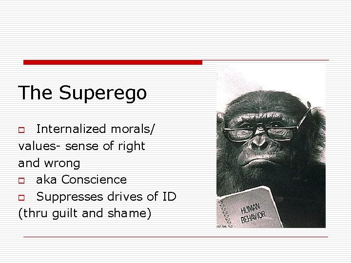 The Superego Internalized morals/ values- sense of right and wrong o aka Conscience o