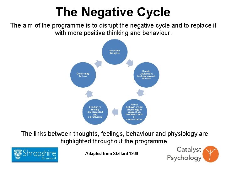 The Negative Cycle The aim of the programme is to disrupt the negative cycle