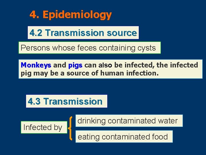 4. Epidemiology 4. 2 Transmission source Persons whose feces containing cysts Monkeys and pigs