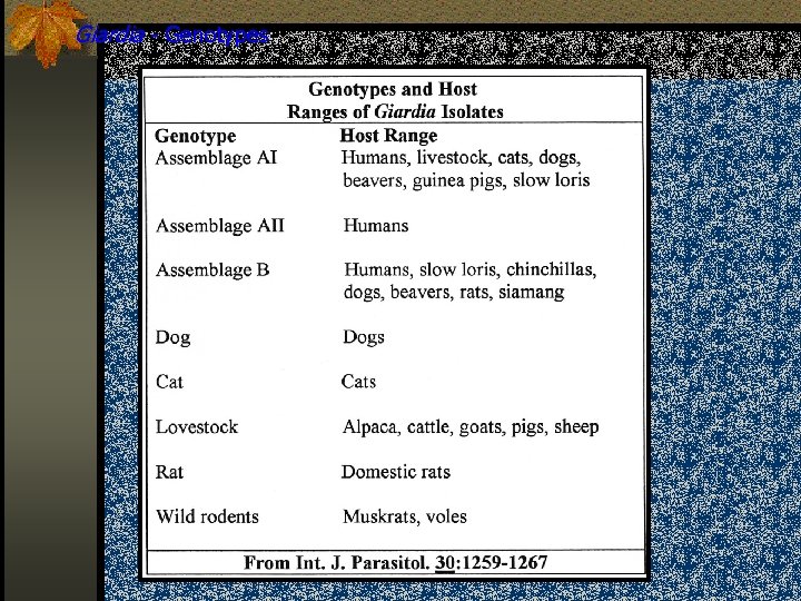 Giardia - Genotypes 