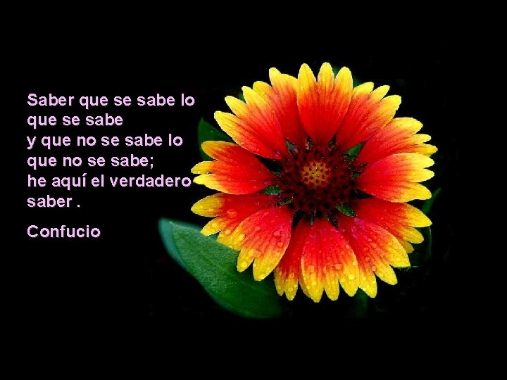 Saber que se sabe lo que se sabe y que no se sabe lo