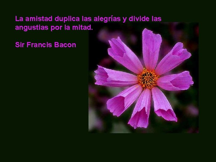 La amistad duplica las alegrías y divide las angustias por la mitad. Sir Francis